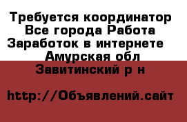 Требуется координатор - Все города Работа » Заработок в интернете   . Амурская обл.,Завитинский р-н